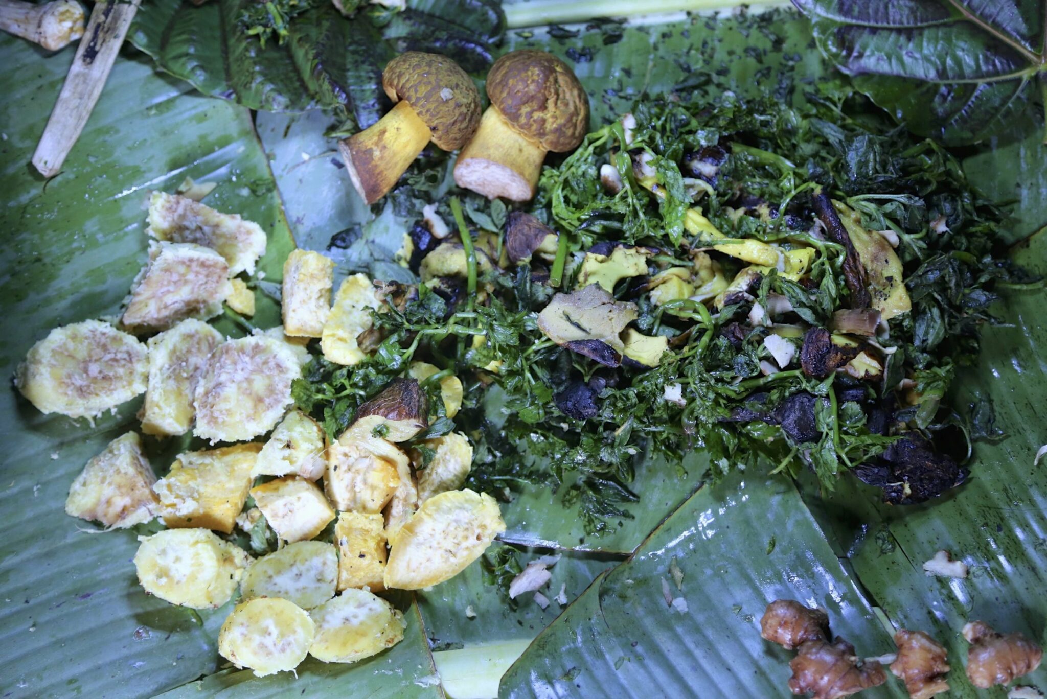 Wild mushrooms and sweet potatoes with bush ferns prepared in Solomon Islands
